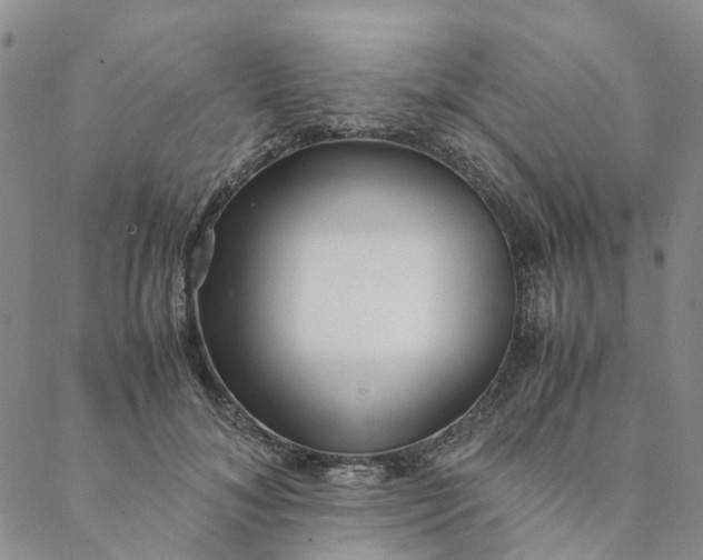 X0000088460700200706121504