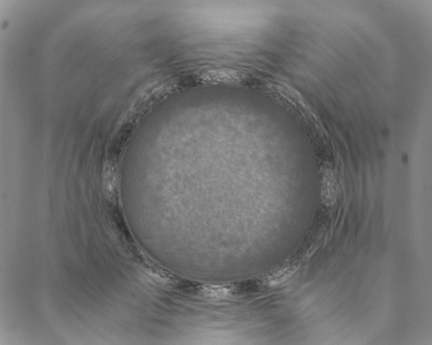 X0000088460701200706121504