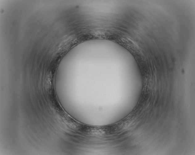 X0000088460702200706121504