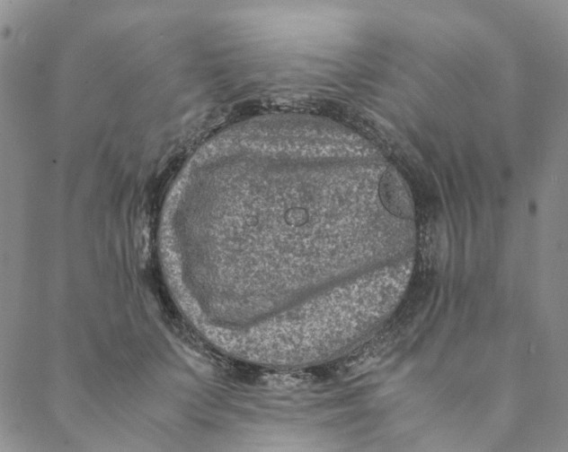 X0000088460703200706121504