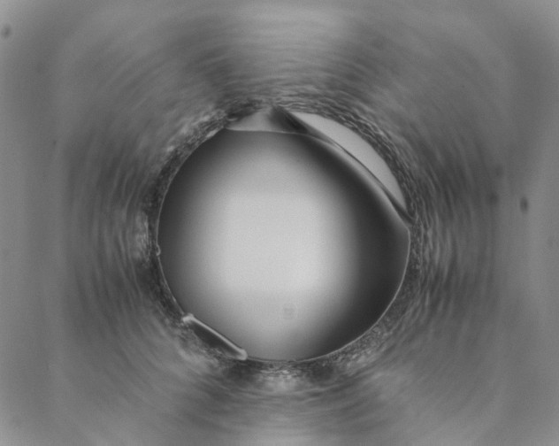 X0000088460704200706121504