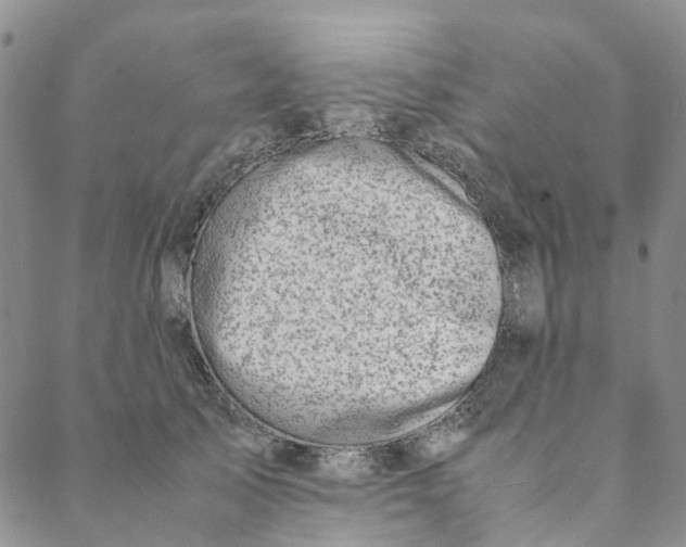 X0000088460705200706121504