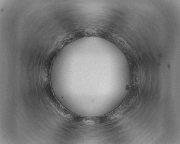 X0000088460706200706121504