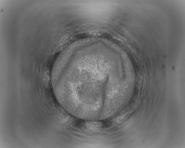 X0000088460707200706121504