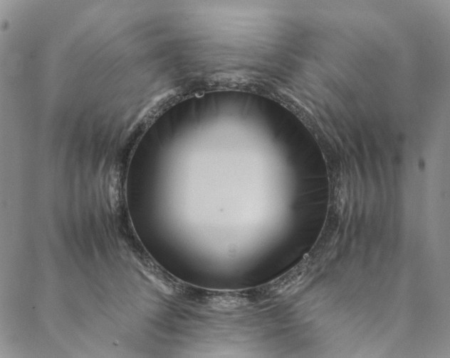 X0000088460708200706121504