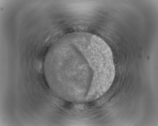 X0000088460709200706121504