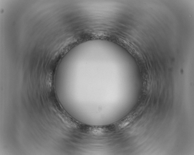 X0000088460710200706121504