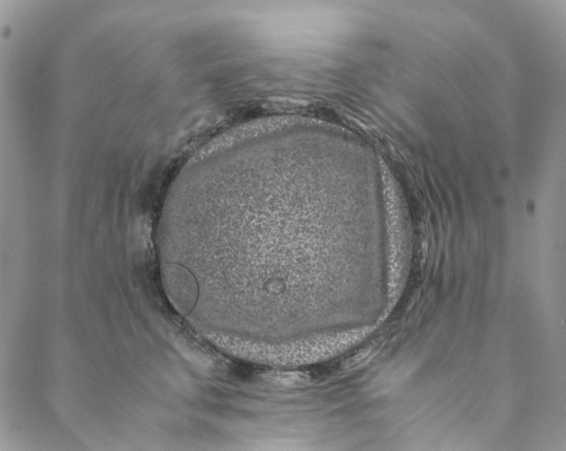 X0000088460711200706121504