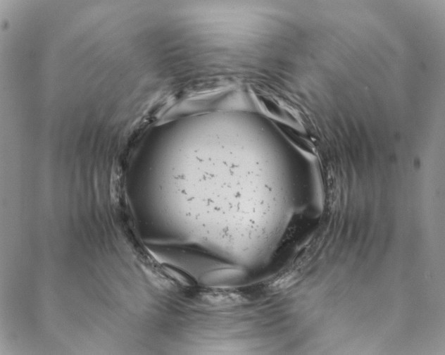 X0000088460712200706121504