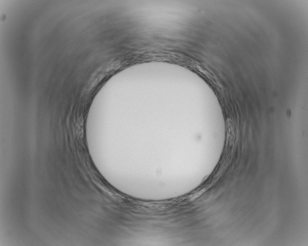 X0000088460713200706121504