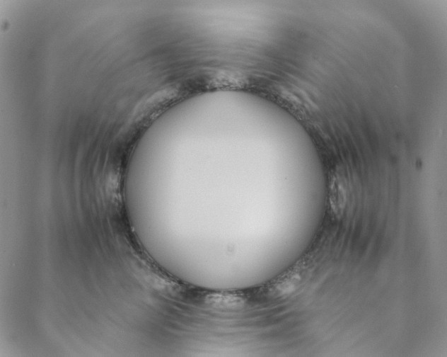 X0000088460714200706121504