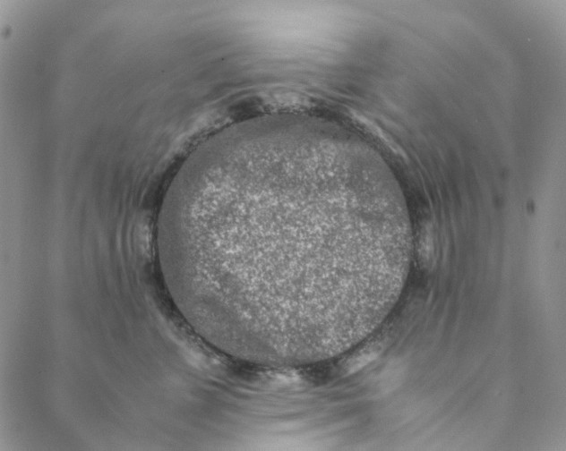 X0000088460715200706121504