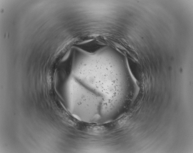 X0000088460716200706121504