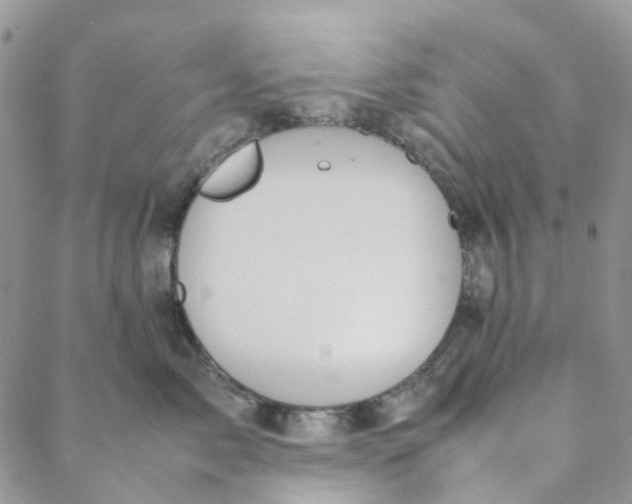 X0000088460717200706121504