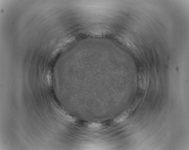 X0000088460718200706121504