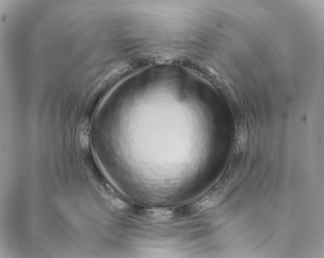 X0000088460719200706121504