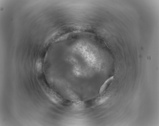 X0000088460720200706121504