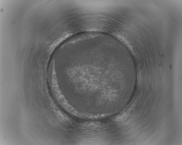 X0000088460721200706121503