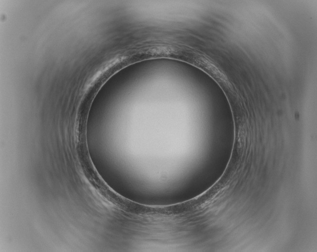 X0000088460722200706121503