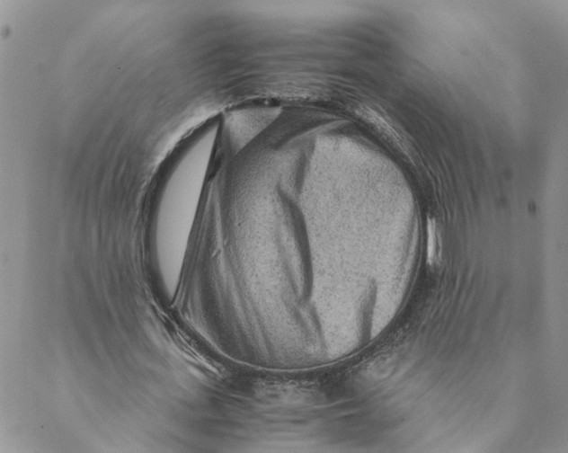 X0000088460723200706121503