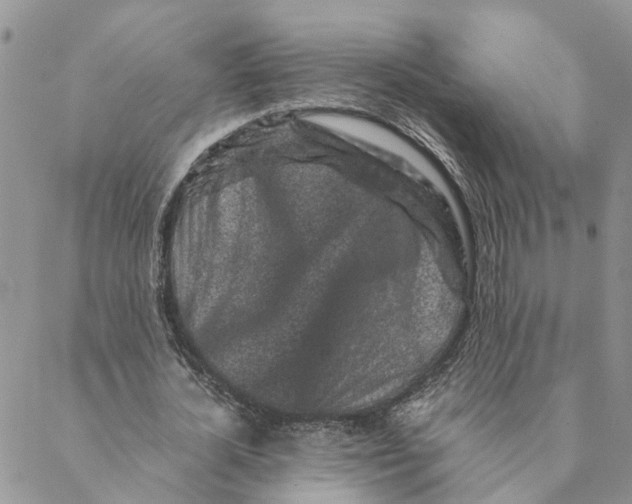 X0000088460724200706121503