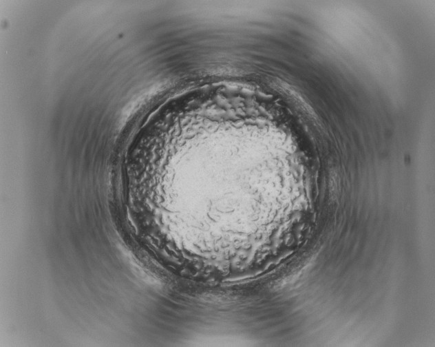 X0000088460725200706121503