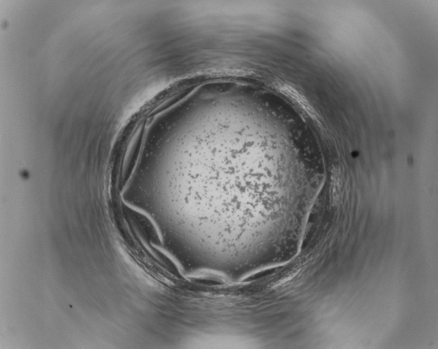 X0000088460726200706121503