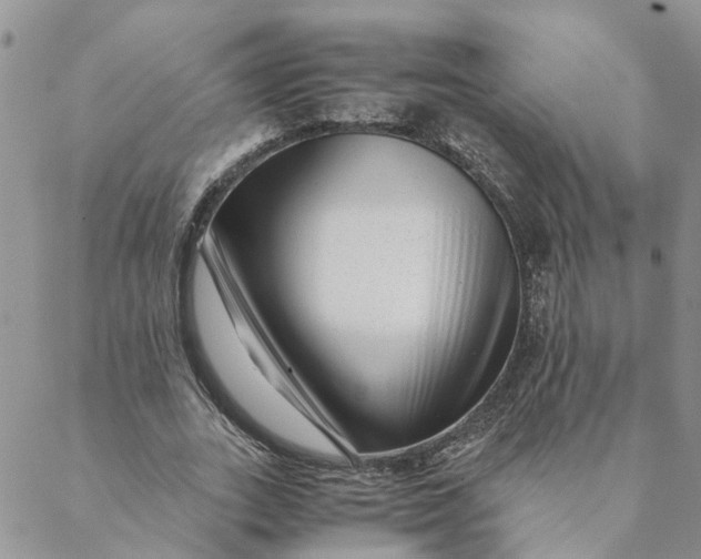 X0000088460727200706121503