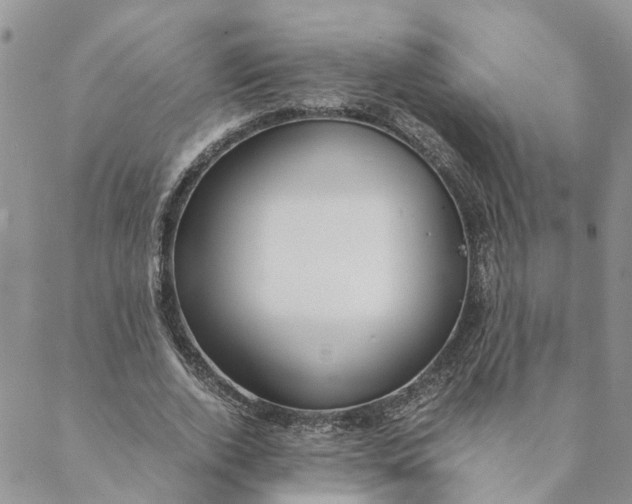 X0000088460728200706121503