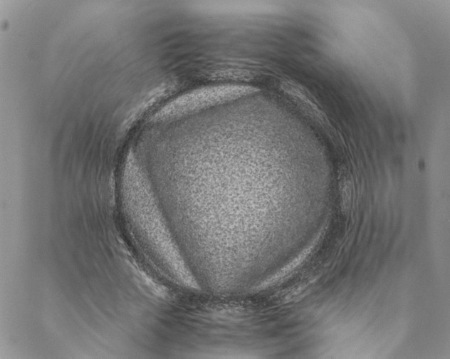 X0000088460729200706121503