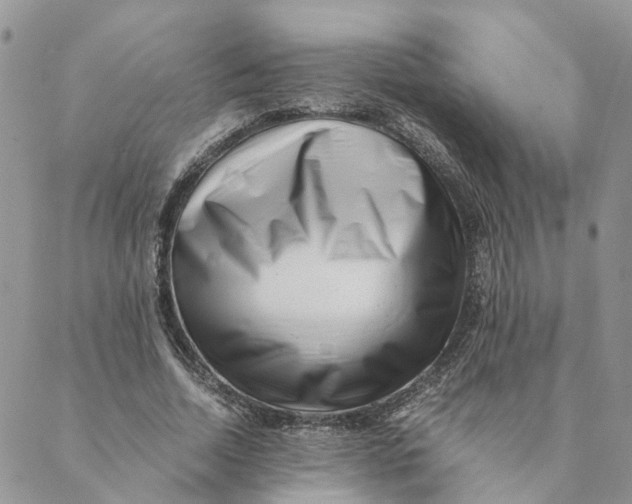 X0000088460730200706121503