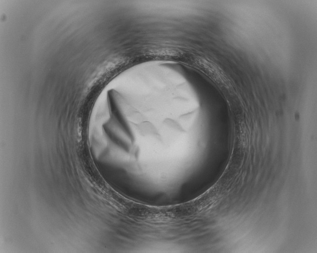 X0000088460731200706121503