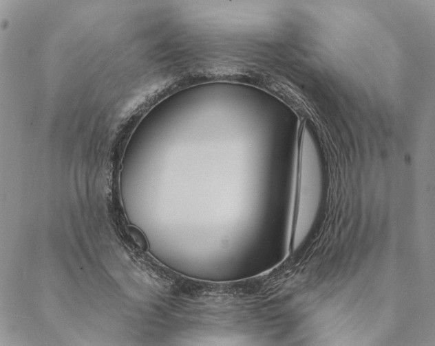 X0000088460732200706121504