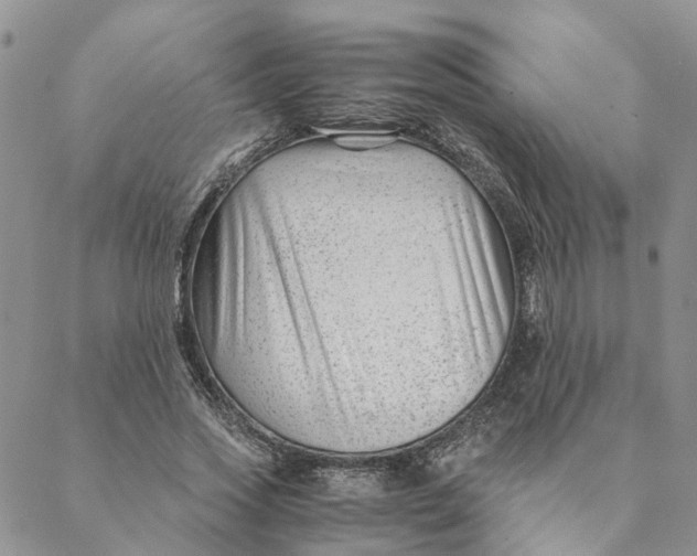 X0000088460733200706121504