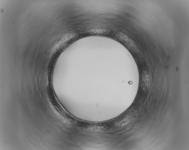 X0000088460734200706121504