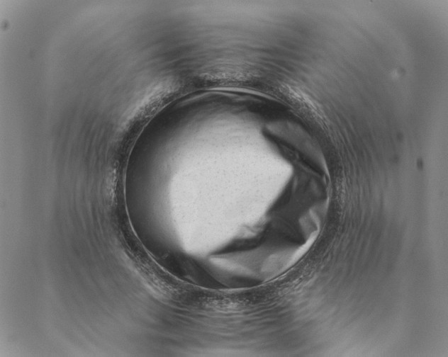 X0000088460735200706121504