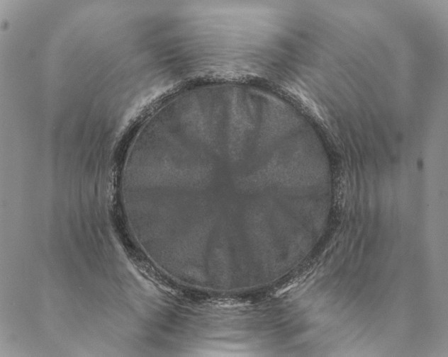 X0000088460736200706121504