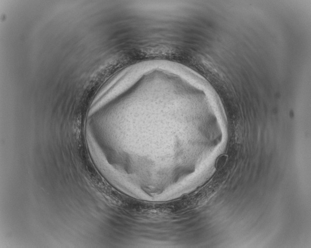 X0000088460737200706121504