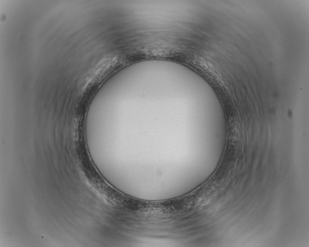 X0000088460738200706121504