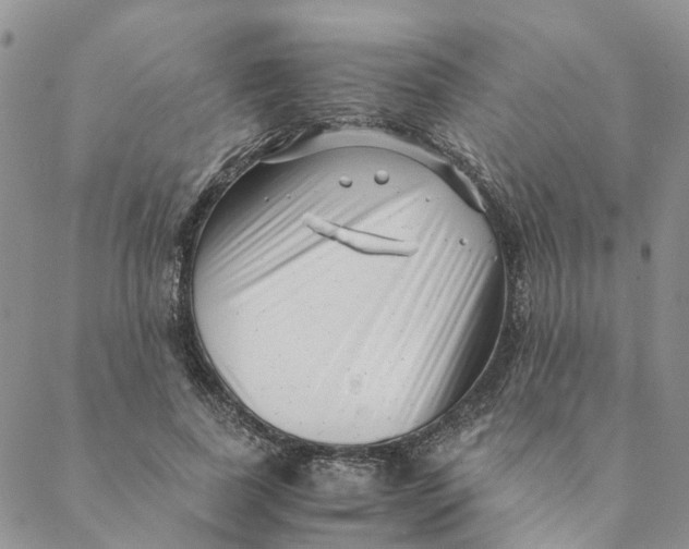 X0000088460739200706121504