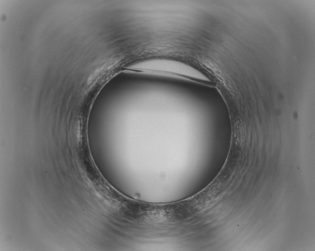 X0000088460740200706121504