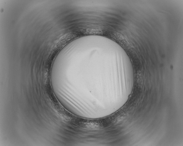 X0000088460741200706121504