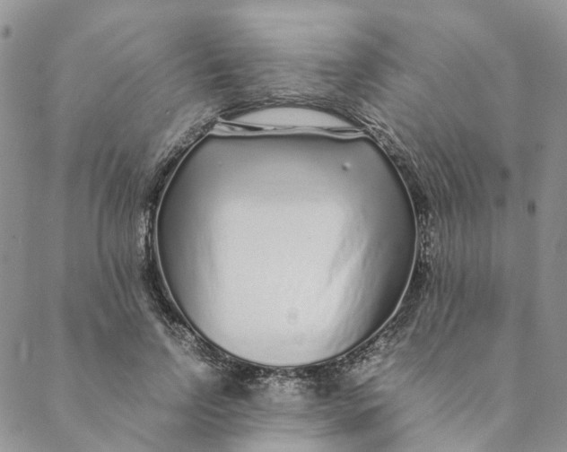 X0000088460742200706121504