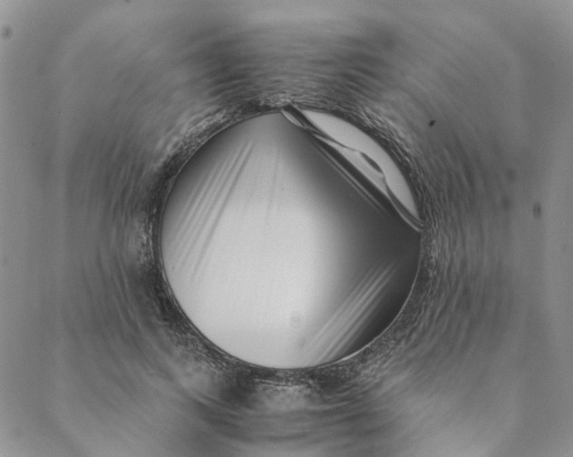 X0000088460743200706121504