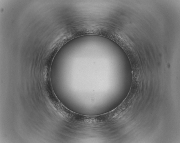 X0000088460744200706121504