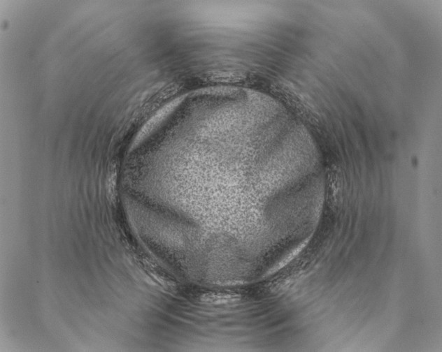 X0000088460745200706121504