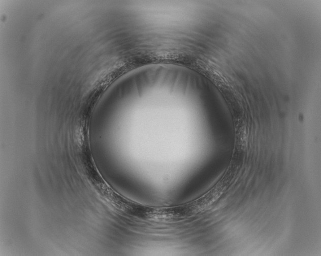 X0000088460746200706121504