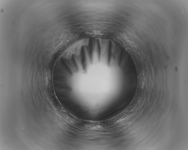 X0000088460747200706121504