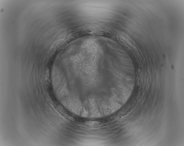 X0000088460748200706121504