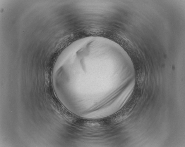 X0000088460749200706121504